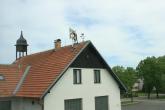 fotogalerie